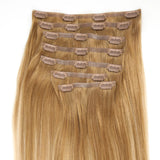24 Inch Long AquaLyna Ultra Narrow Clip In Hair Extensions